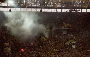 Westfalenstadion - BVB-Fans