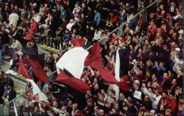 Westfalenstadion - Bayer-Fans