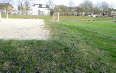 Borussen-Stadion an der Grevingstra&szlig;e