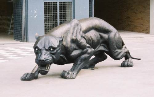 Est&aacute;dio do Bessa - Jemand kuscheln?