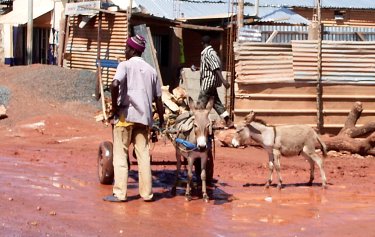 Temple of Literature-Komplex - Detail